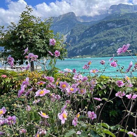 Chalet Romantica Carpe Diem Best View Best Location Brienz  Ngoại thất bức ảnh