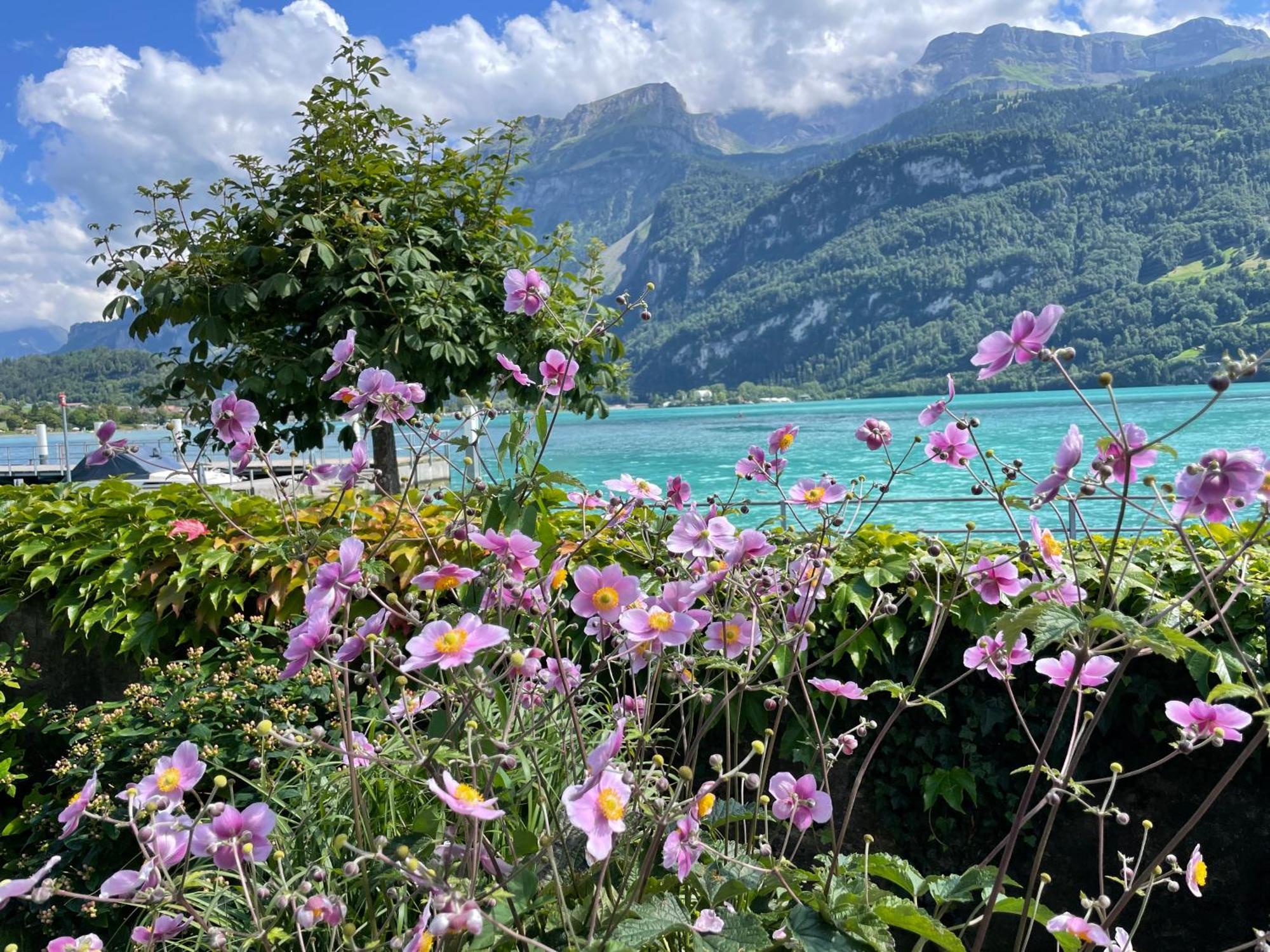 Chalet Romantica Carpe Diem Best View Best Location Brienz  Ngoại thất bức ảnh
